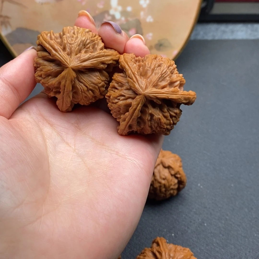 胡*海白狮子1111111111