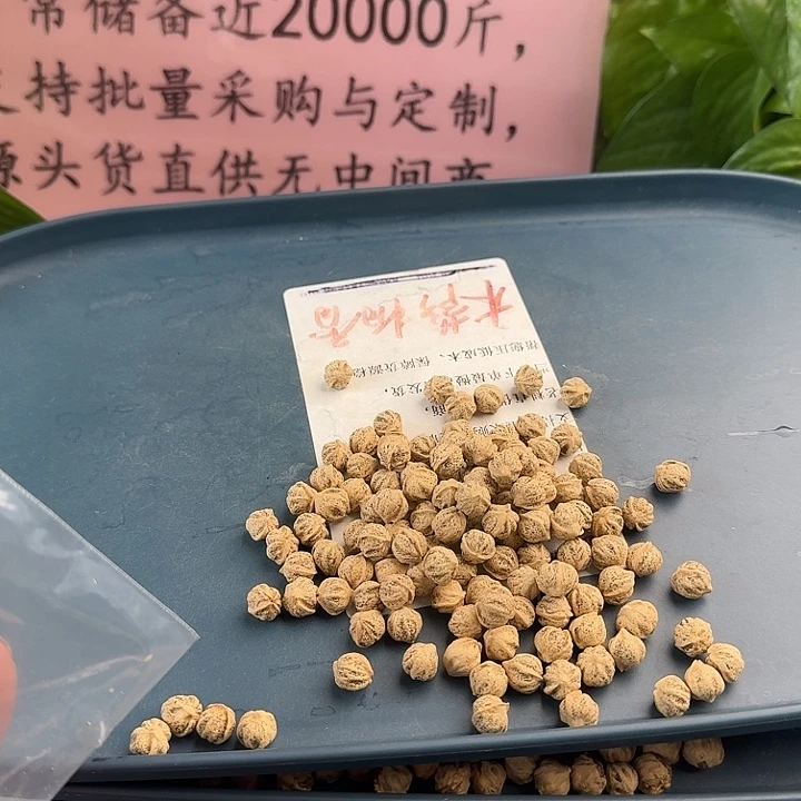 低***点柏香籽/百香籽吊坠9+39克HT022