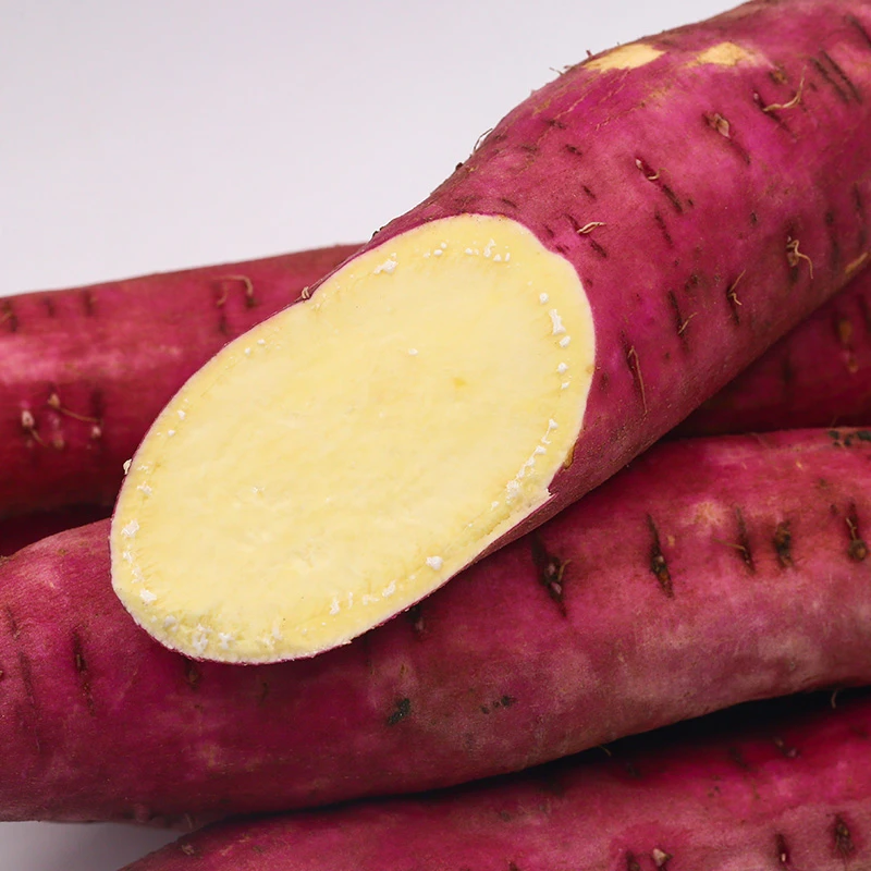 西戈甜陕西沙地板栗红薯4.5斤 现挖番薯黄瓤粉糯香甜板栗味地瓜