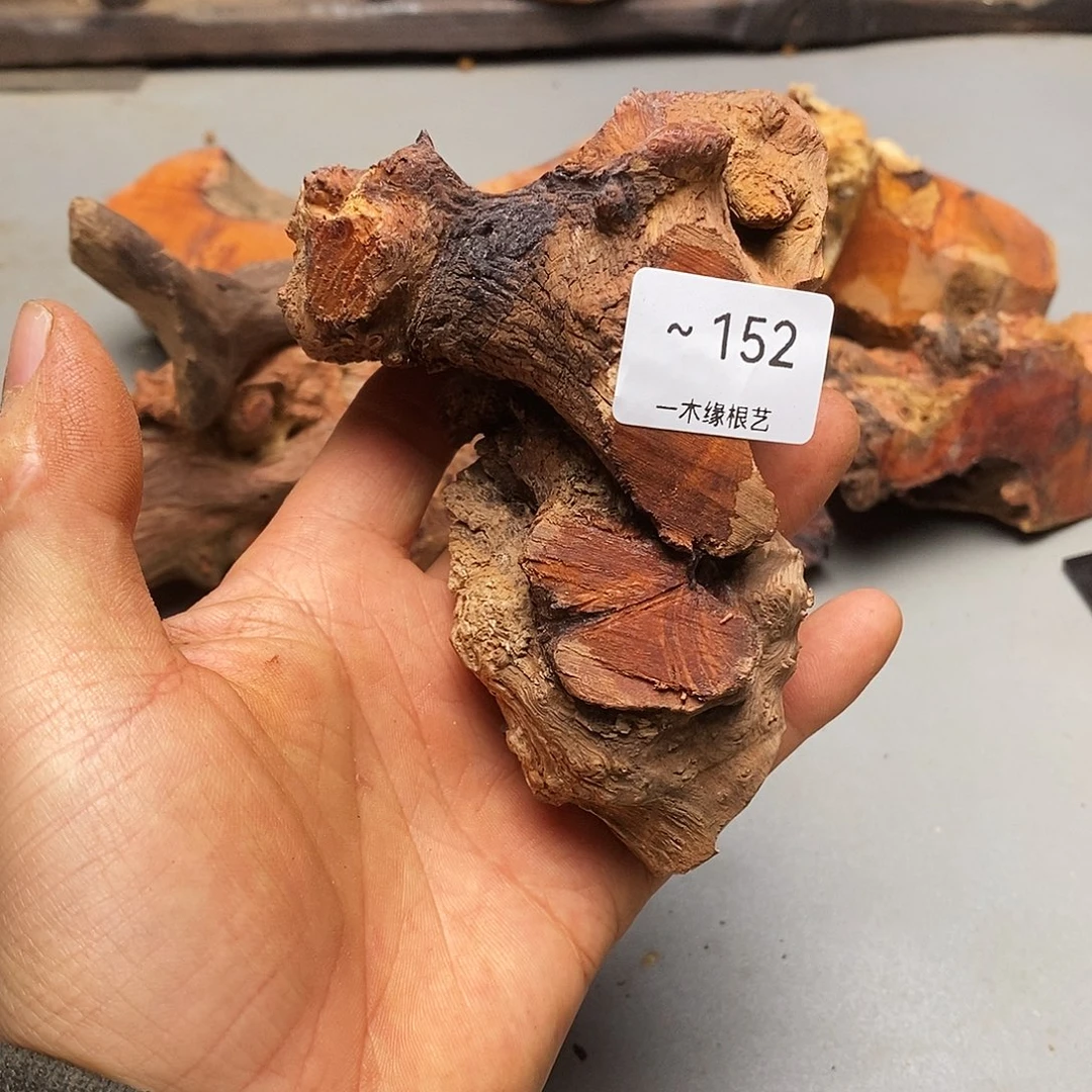 无花朵        152