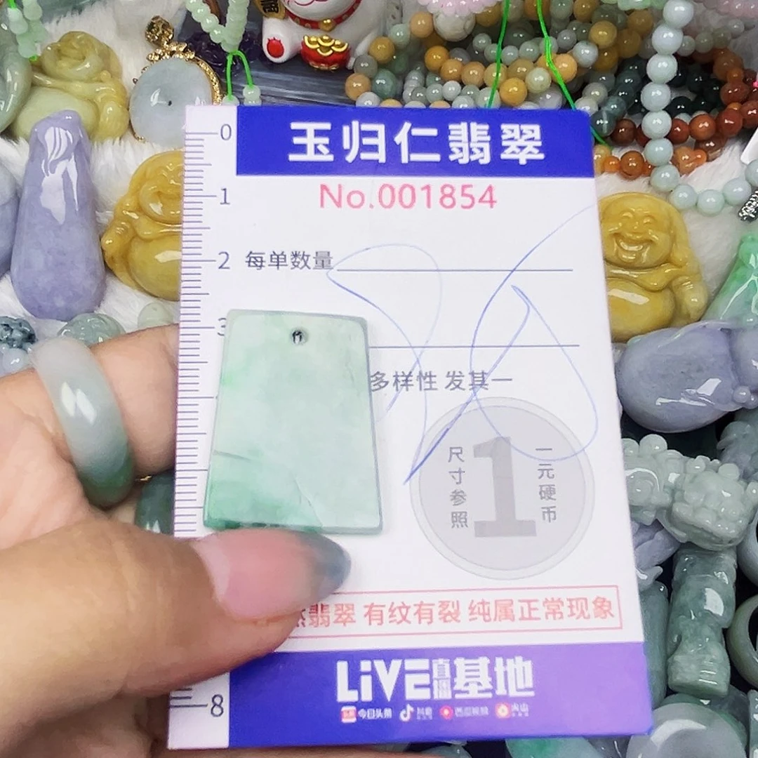 翡翠未镶嵌颈饰11