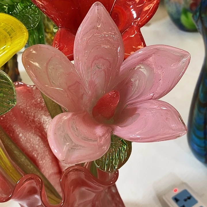 夜光花高45厘米左右