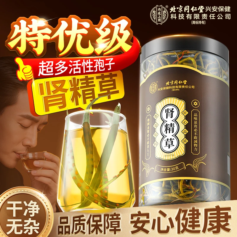 北京同仁堂内廷上用野生肾精草黄金草孢子丰富当季新采泡茶泡水喝