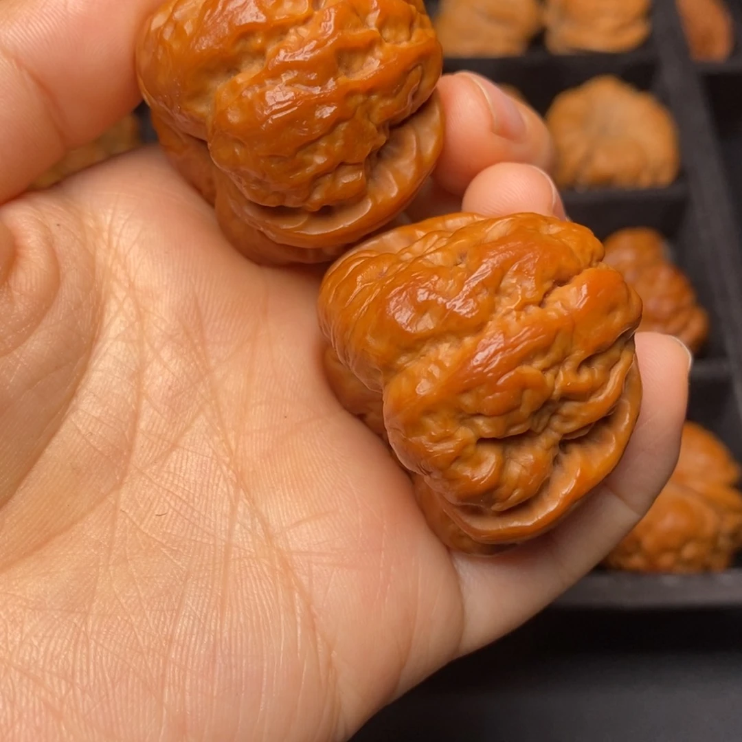 秦岭野生文玩核桃