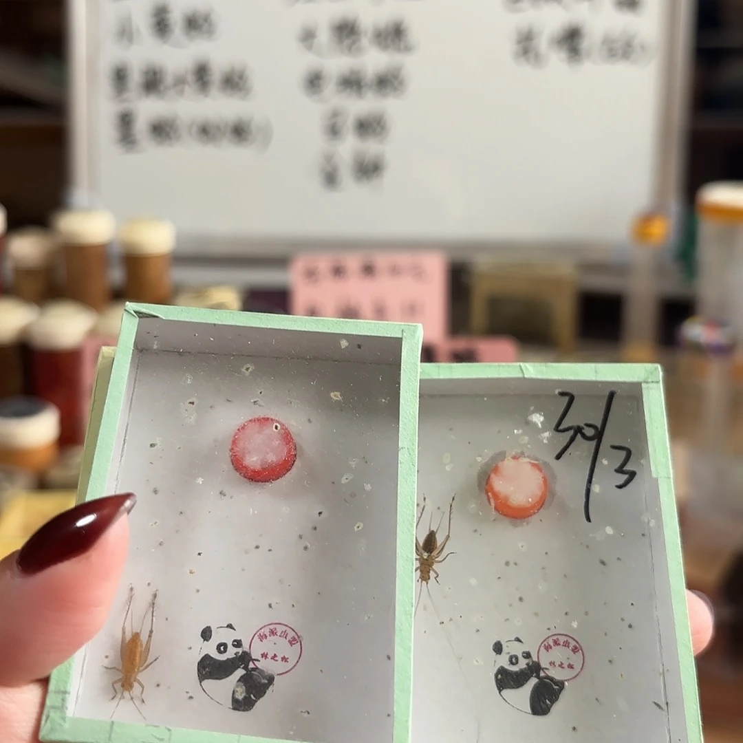 三条中须野生大黄蛉