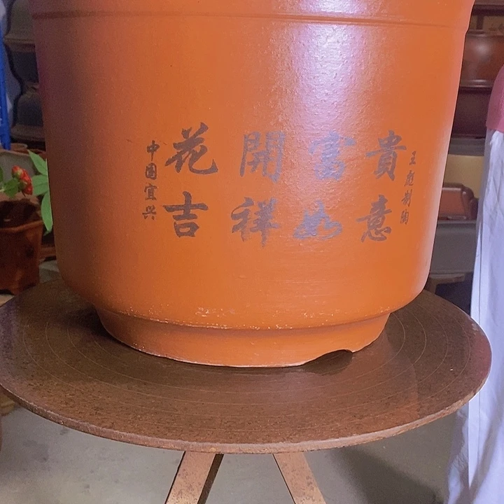 无花朵41平海哈哈哈哈哈哈