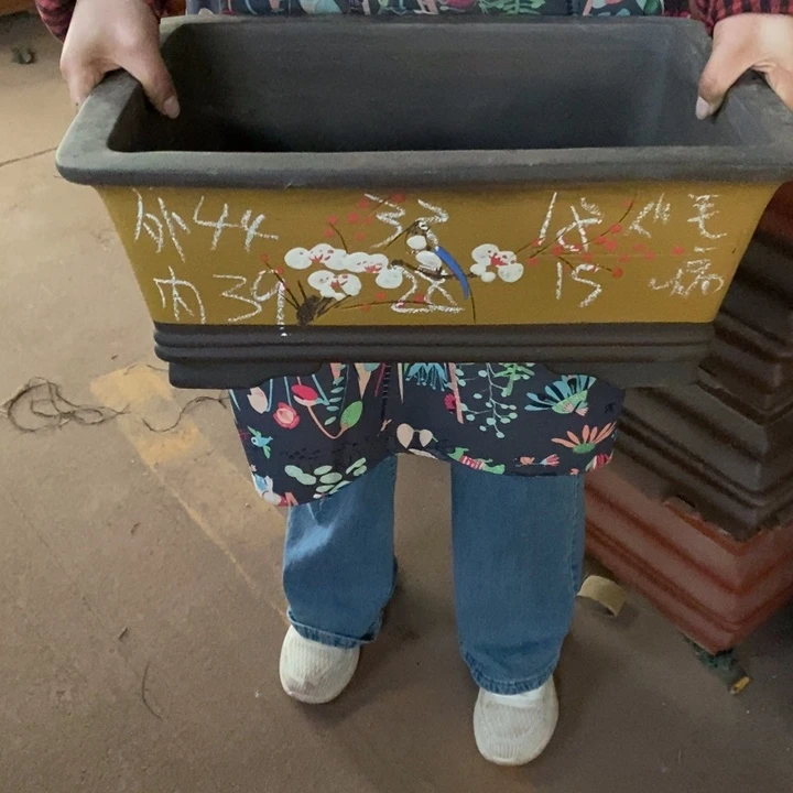 花盆紫砂只顾看手机的