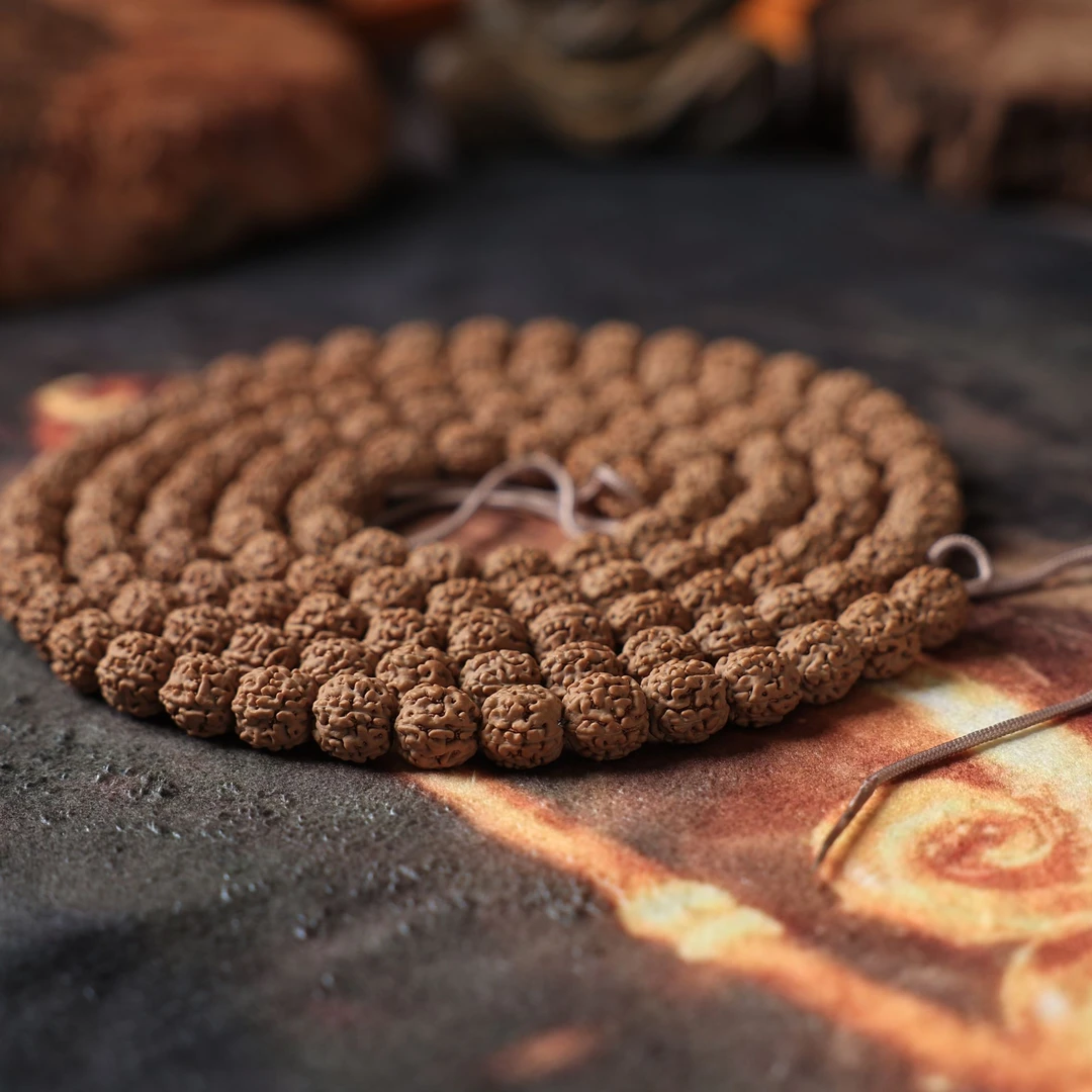 【编号A278】扎手龙小金刚菩提长串尺寸8-9+mm