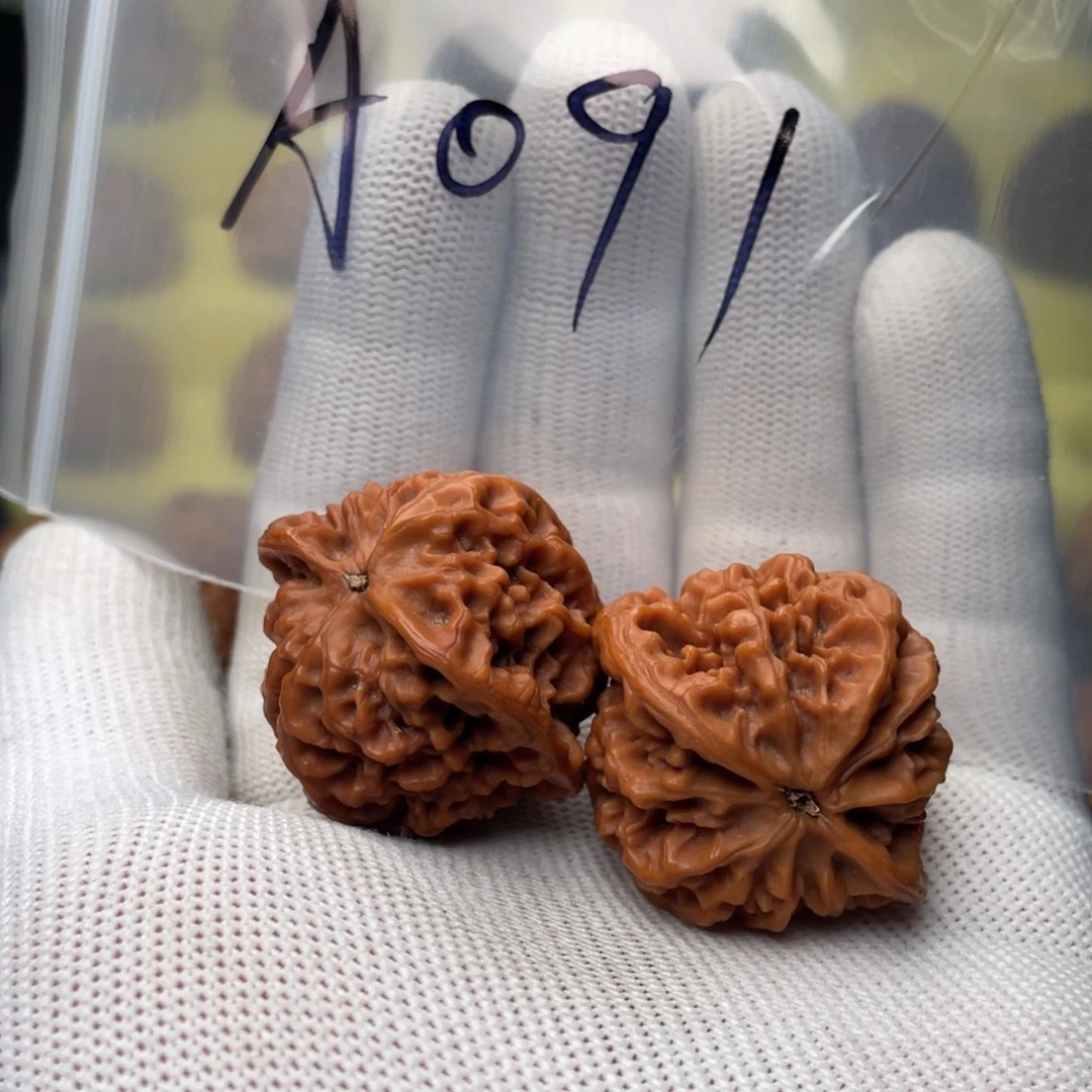 文玩核桃把件秦闷全品红