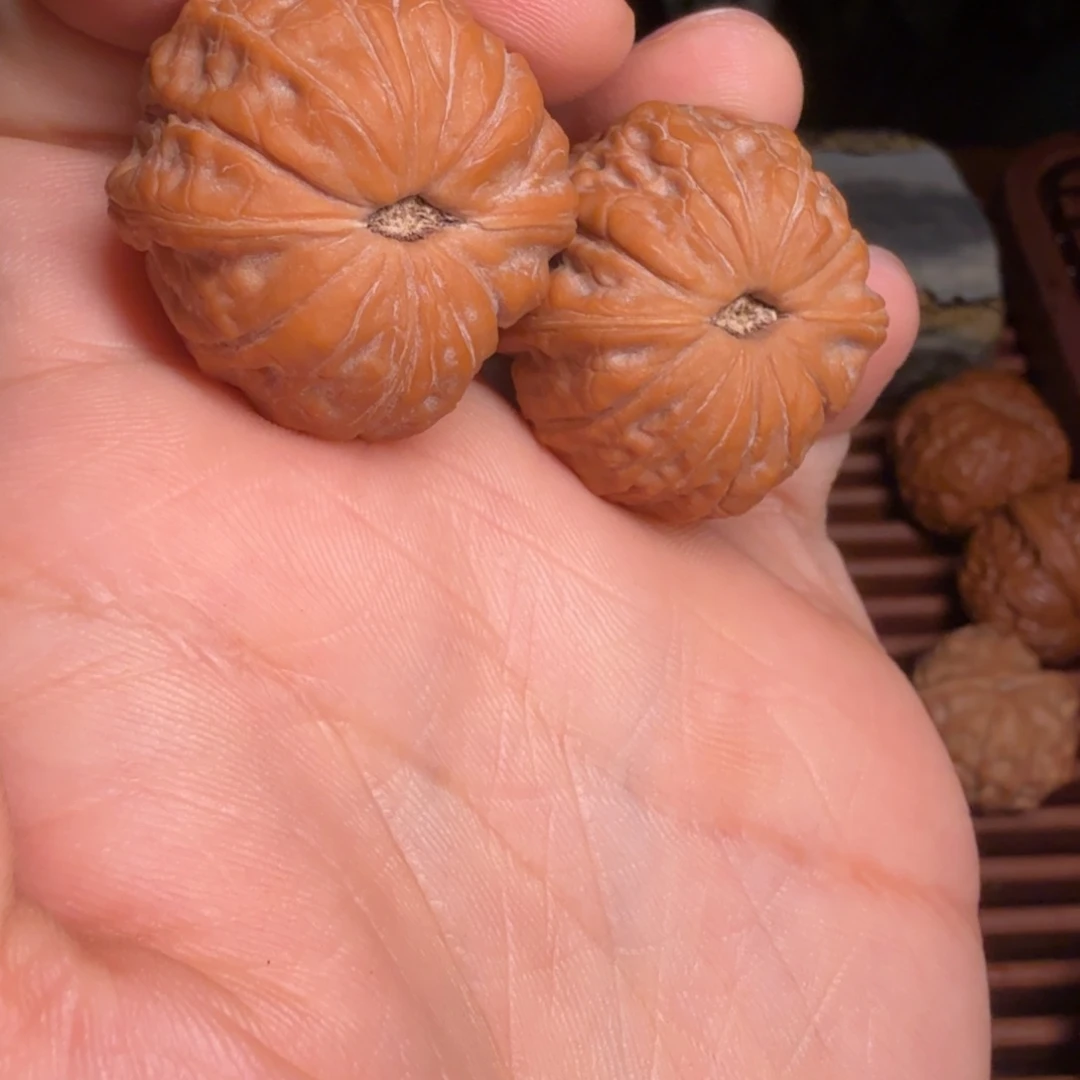 核桃荷叶底野生球球32全品