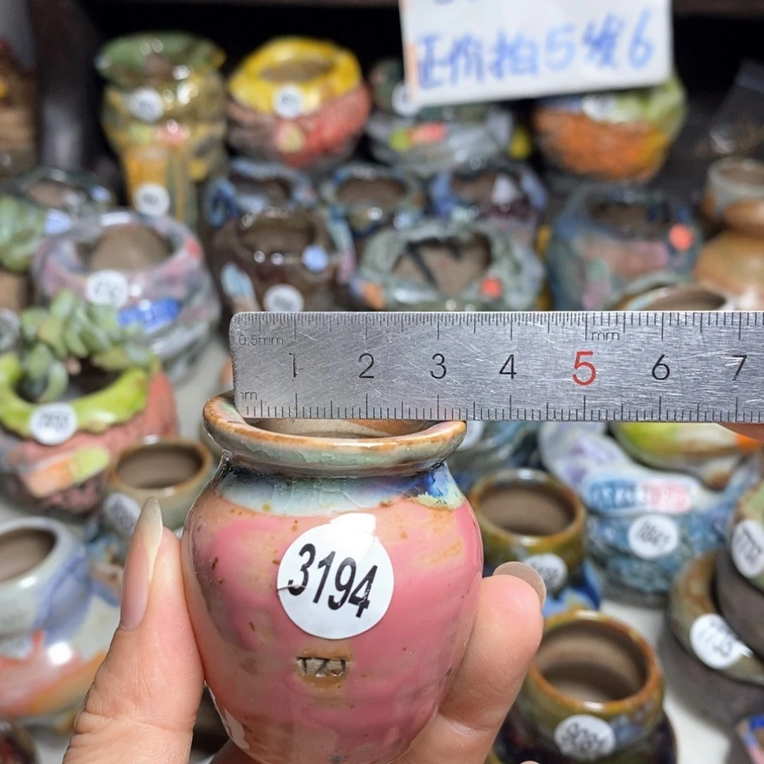 拍5送一个小礼物