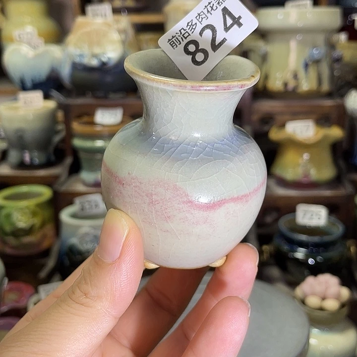 狼盆内口径3.5高度6