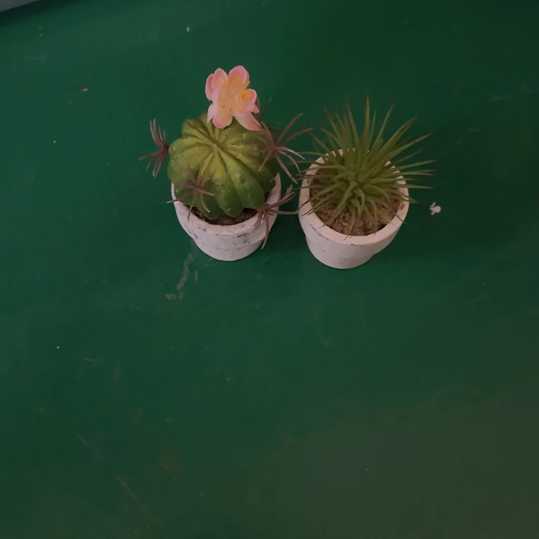 馫****姐陶瓷艺术设计中心