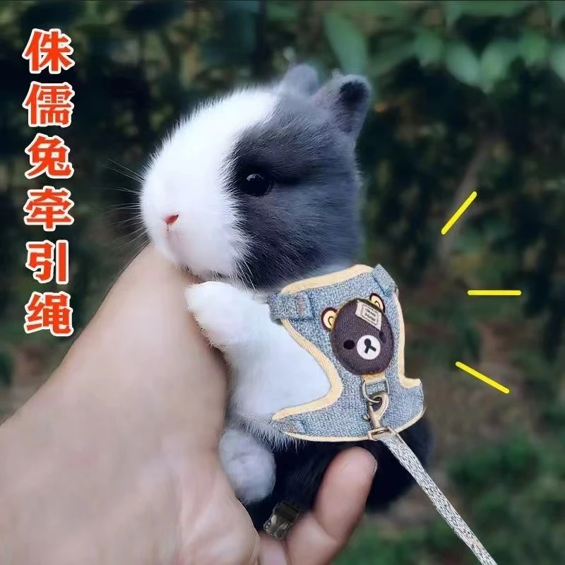 兔兔背心式牵引绳