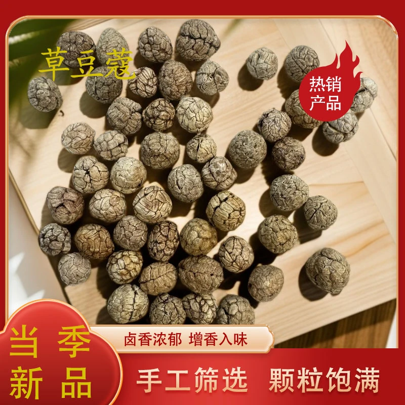 精选新货草蔻草豆蔻炖汤卤肉去腥提味增香调料正宗草寇香料