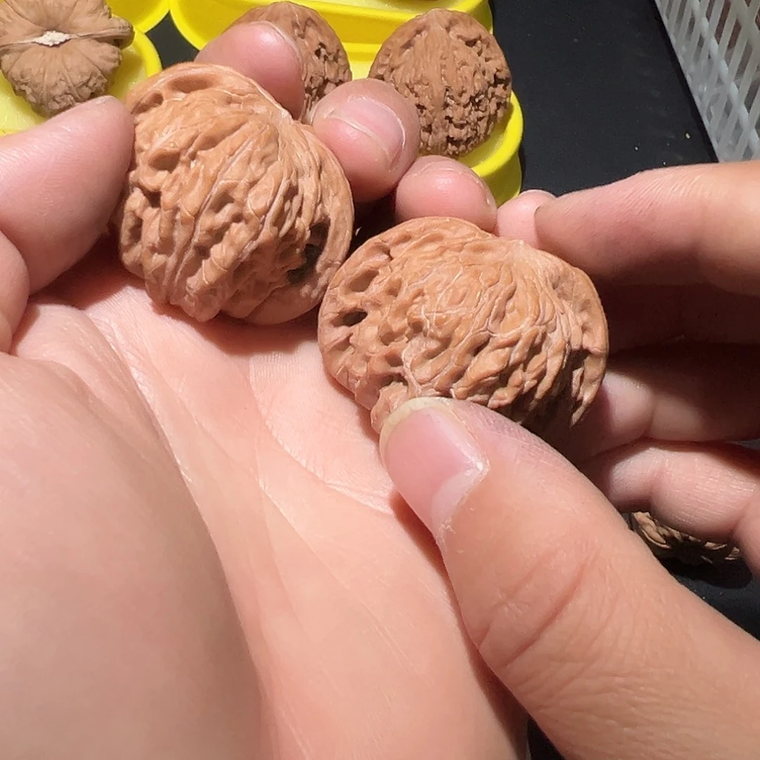 7***⁷核桃磨盘 对歪 文玩核桃