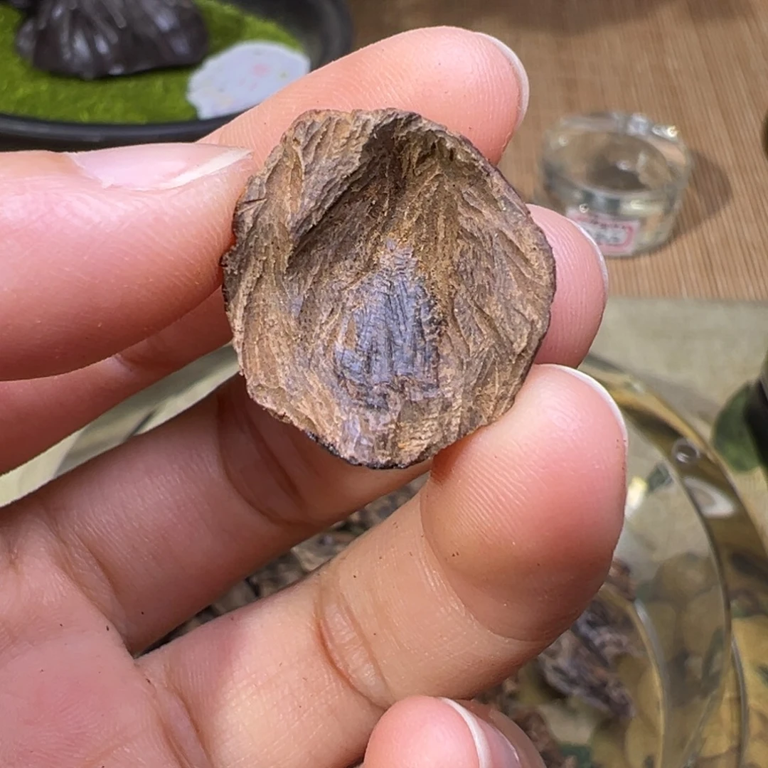 香榧木海南木料大山沉水熟结老包头1.3克