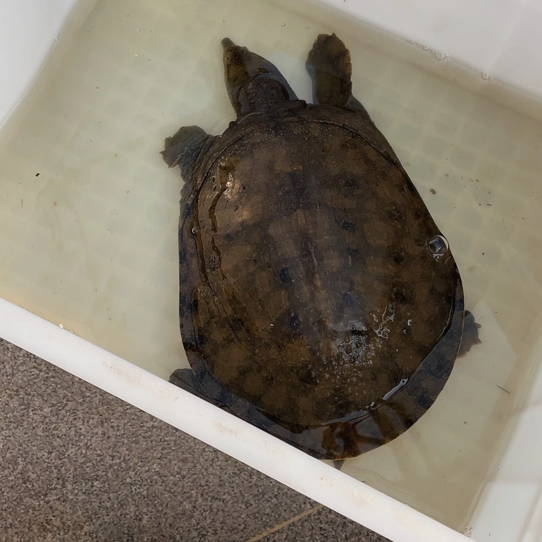 中国大陆12345678