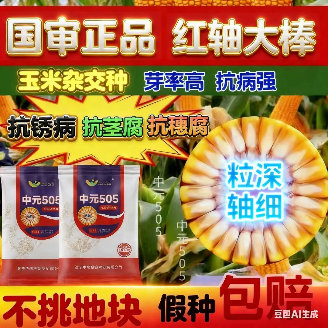 怕倒的你种它,怕旱的你种它,怕涝的你种它#高产玉米种子#农业种植商品图
