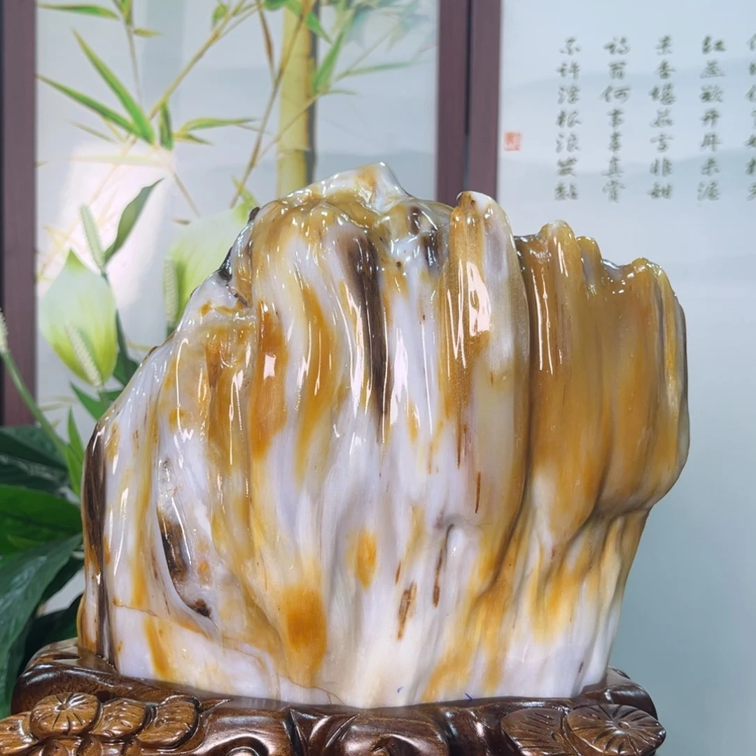 硅化玉（树化玉）摆件未镶嵌