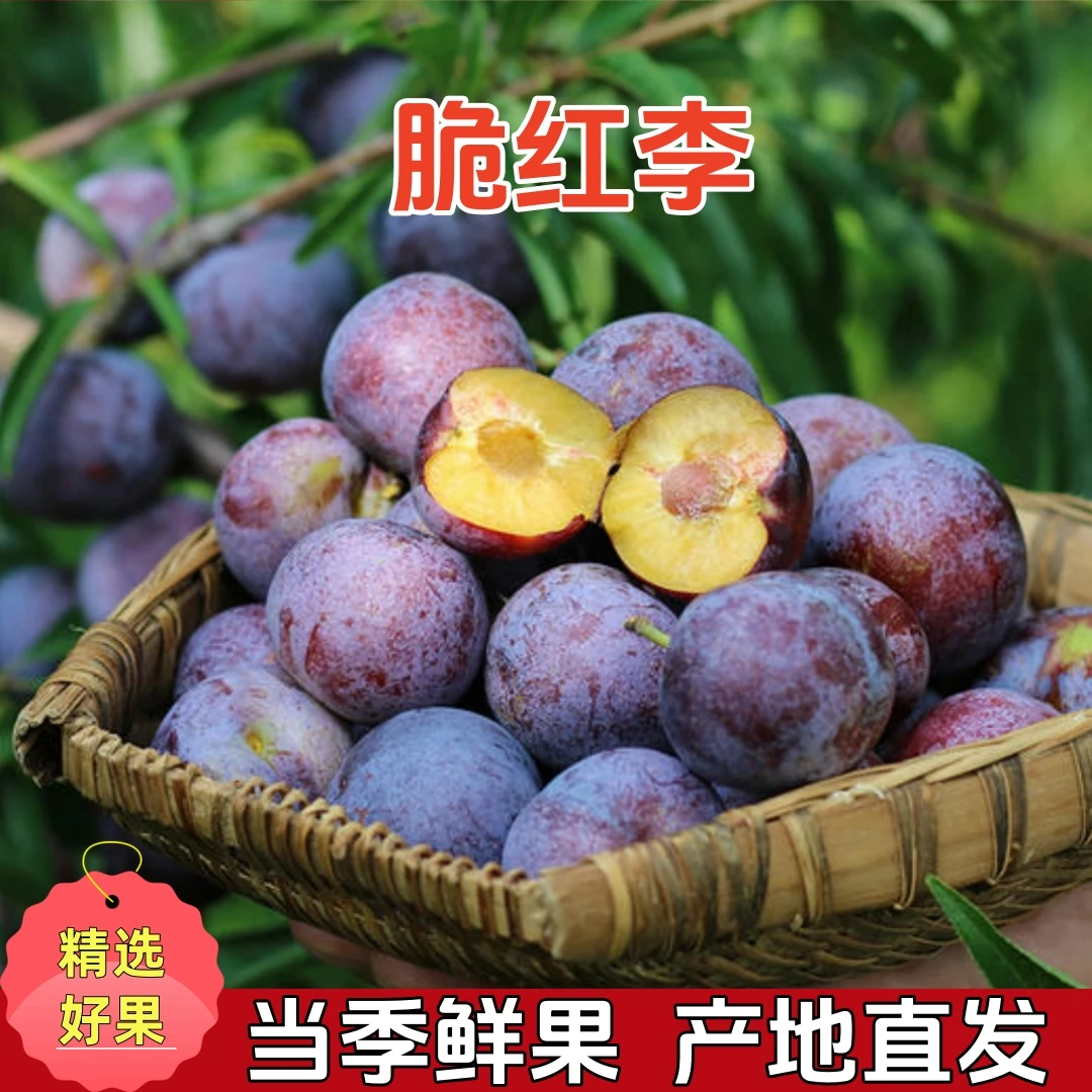 【脆红李】正宗四川汶川脆红李蜜甜多汁脱骨李李子3/4.5斤