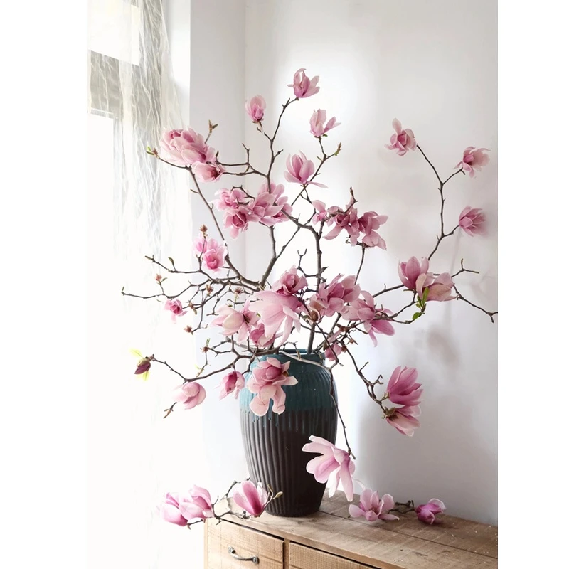 玉兰花水培植物鲜切枝水养花卉带花苞室内好养绿植花卉鲜花花束