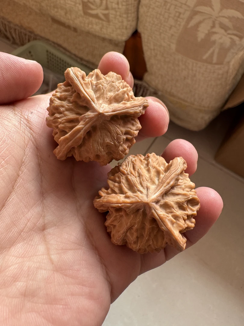 40全品盘山公子帽三棱人奔【A3157】尺寸40-39-35