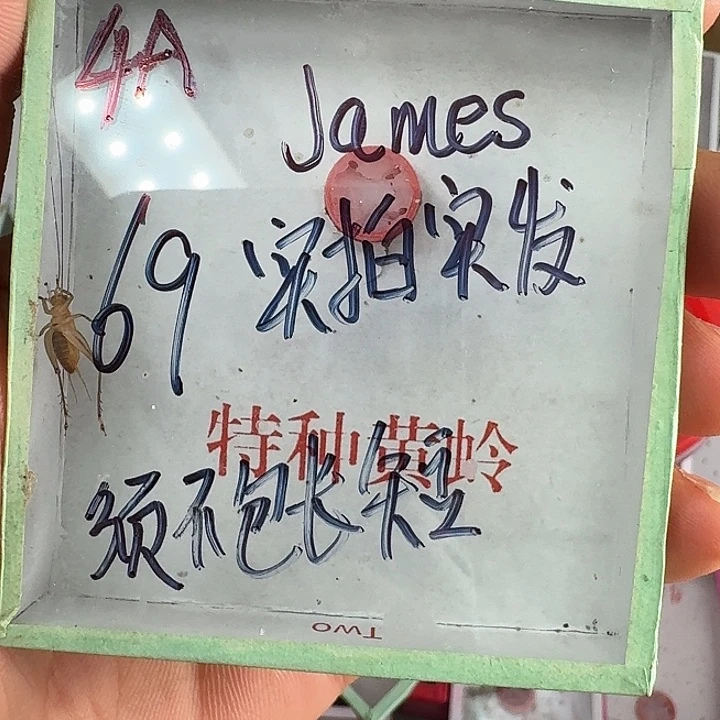 J***s蟋蟀蝈蝈我在外面吃饭111111