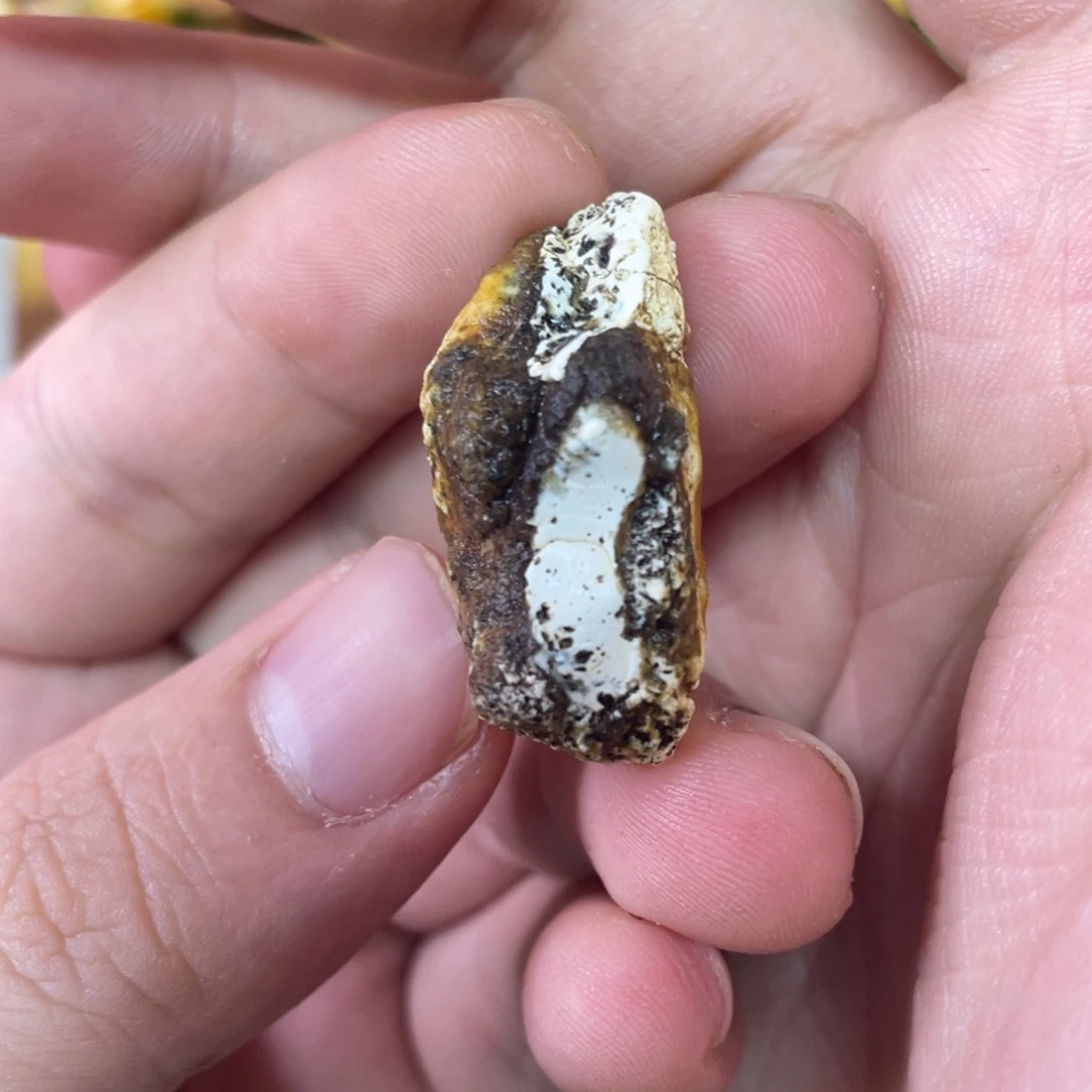 定制琥珀天然琥珀