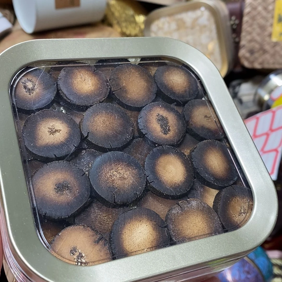 紫砂哈哈哈哈哈哈哈哈哈