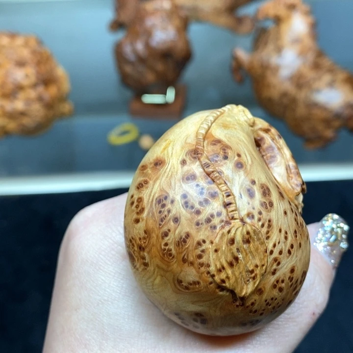 柏木（崖柏）太行崖柏（钱袋