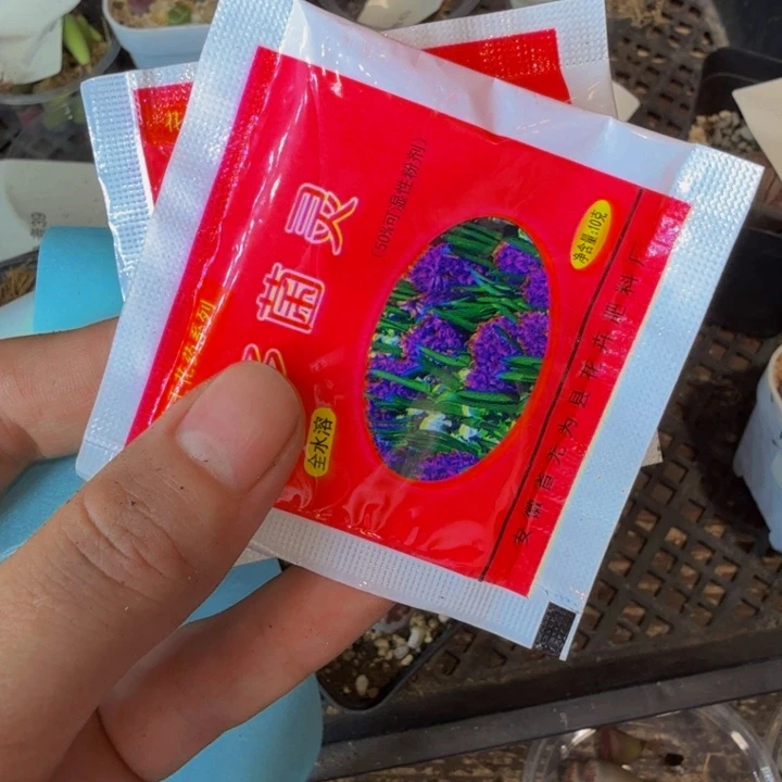 亨*多肉植物的生长发育56