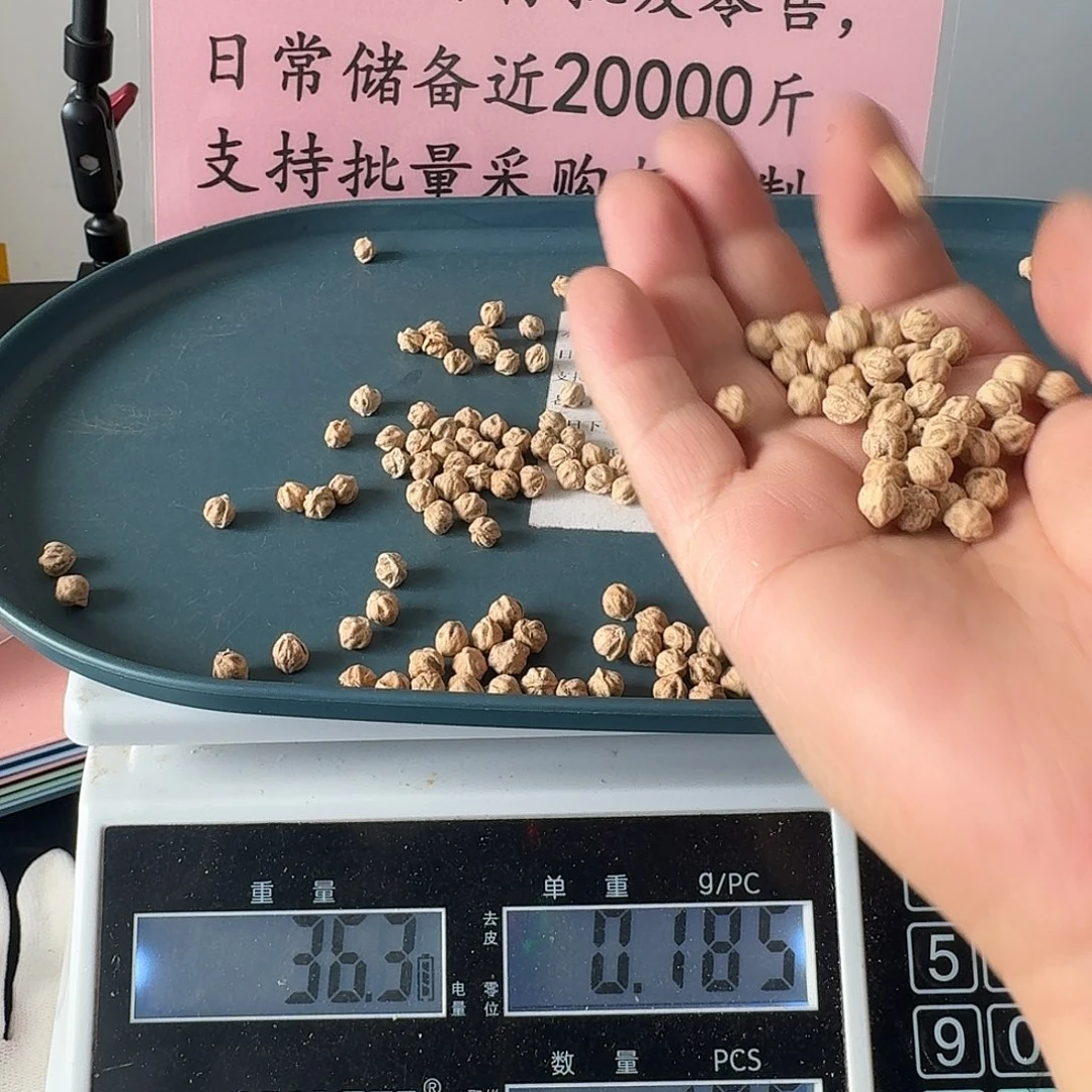 柏香籽/百香籽吊坠43克235颗左右H8069