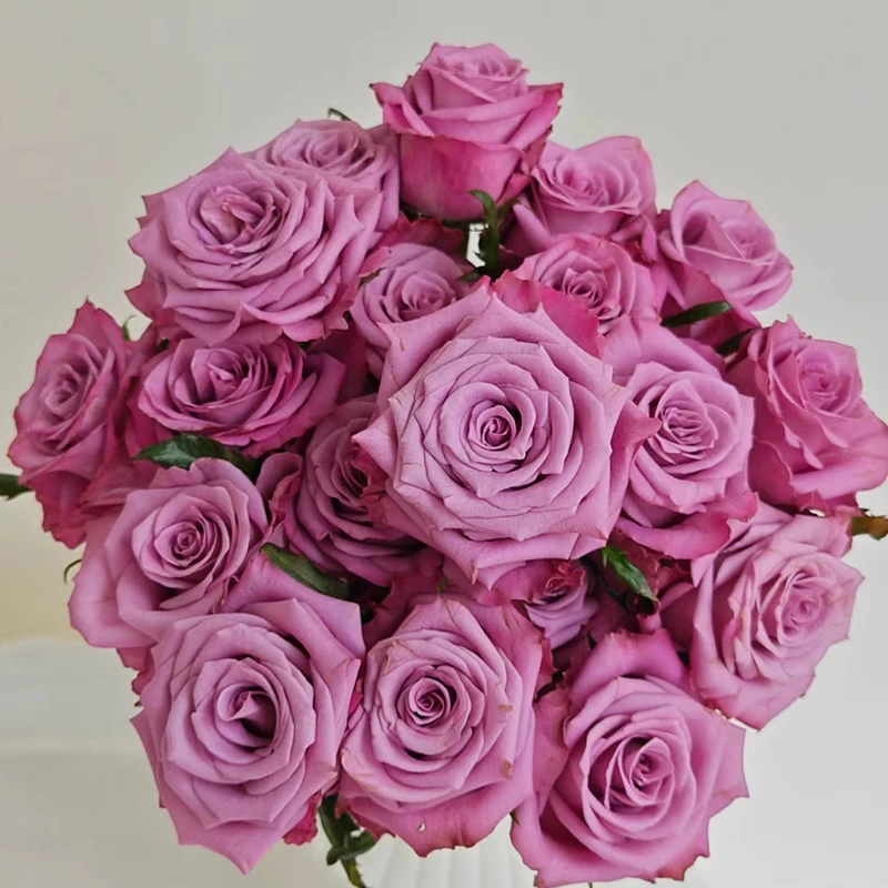 【嫣然】玫瑰【2-3单包邮顺丰冷链/满4单包邮顺丰空运】