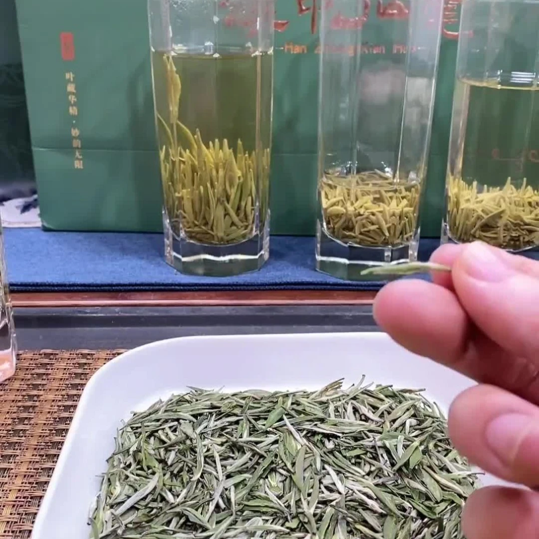 汉中仙毫2025新茶绿茶嫩芽