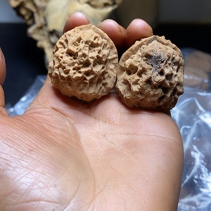 把件文玩核桃云南铁核桃基地38