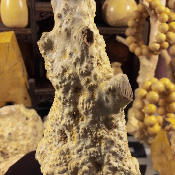 木随*木料努力努力努力