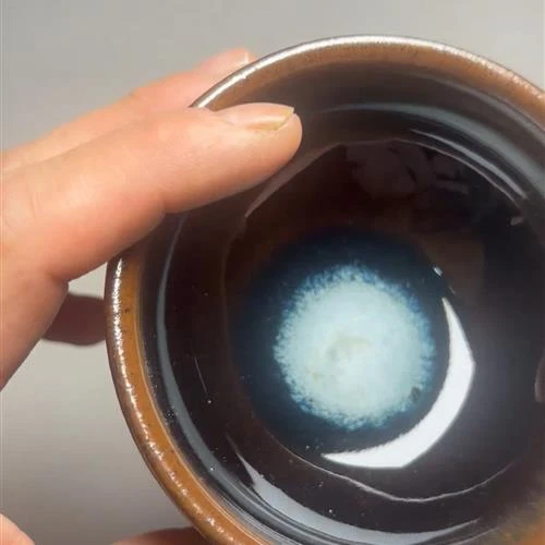 【闪购商品】茶盏-1169...........