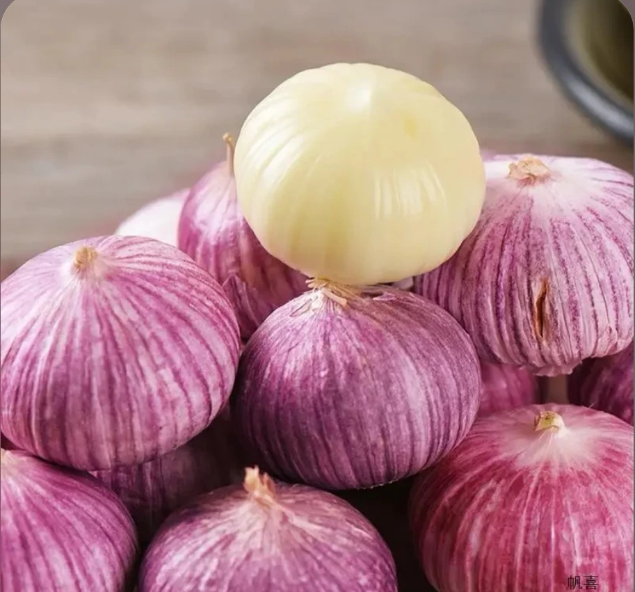 独头红皮干蒜头独蒜蒜头蔬菜种子阳台四季可种