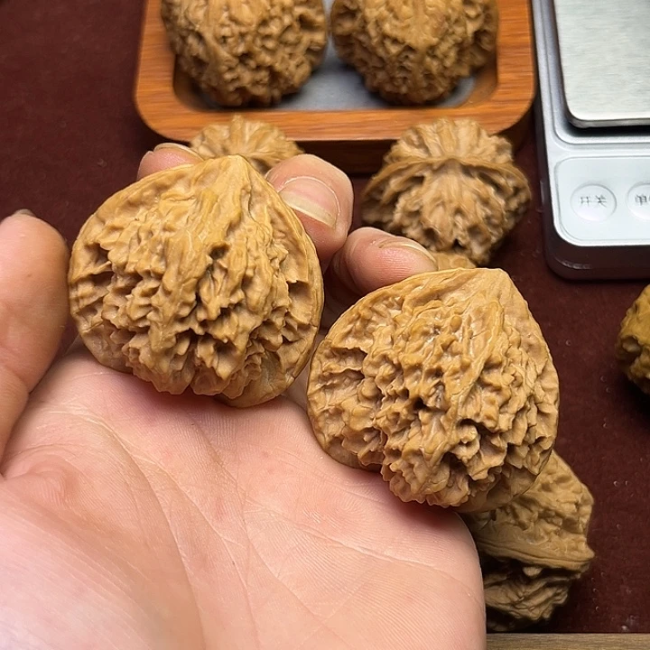 注***肉秦皇岛狮子头全品无休42尺寸