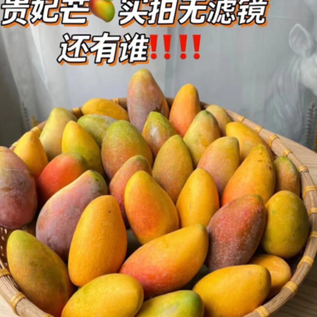 空运 树熟贵妃芒 一盒