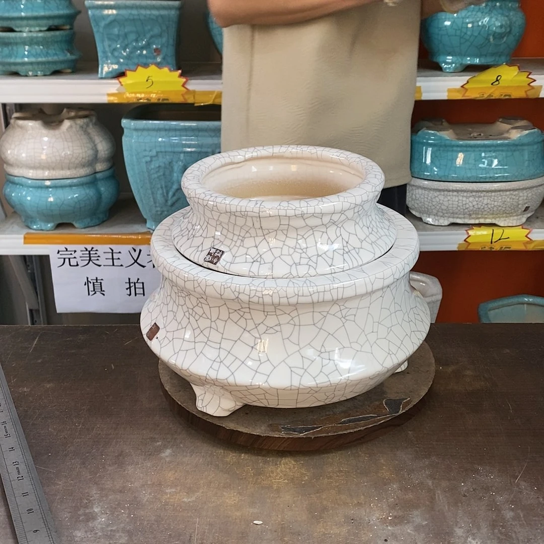 泉花盆花盆里的花都