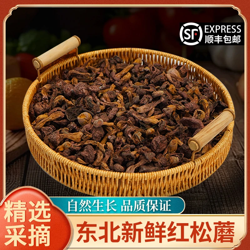 东北精品红蘑丁食用菌松树伞