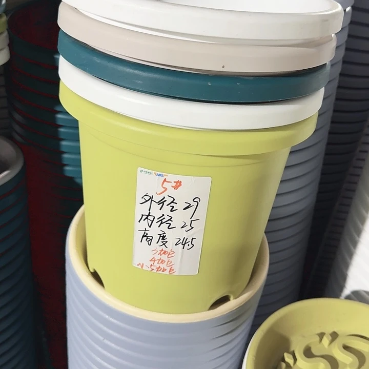 微瑕5#果绿6个无托口径29