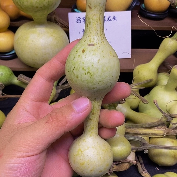 幸**活长嘴哈哈哈哈哈哈哈哈哈哈哈哈好