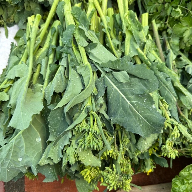 【云货心选】油菜苔