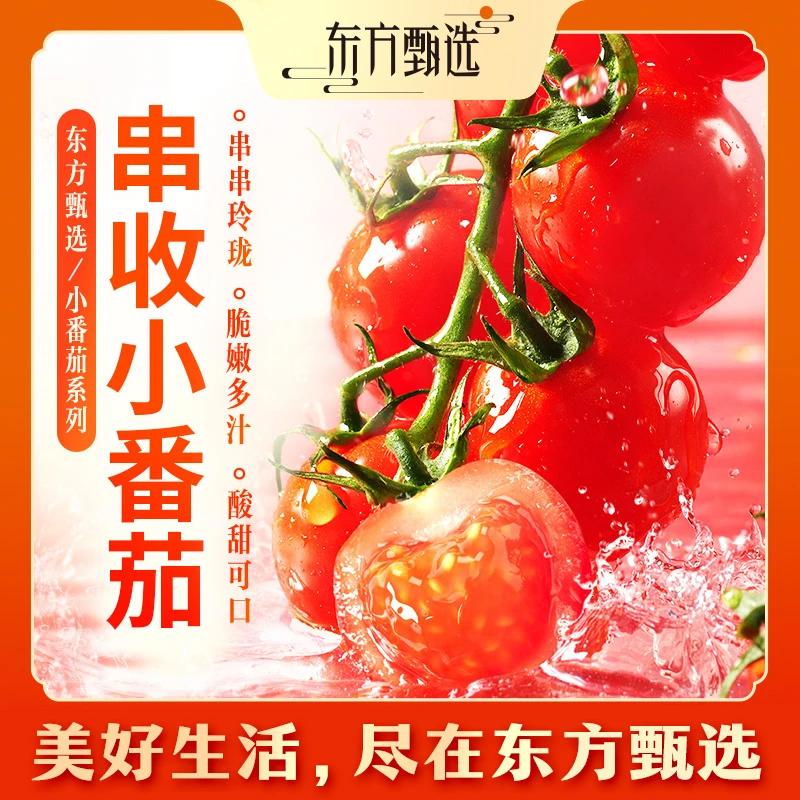 东方甄选自营串收小番茄（7日内发货）脆嫩多汁新鲜采摘坏果包赔