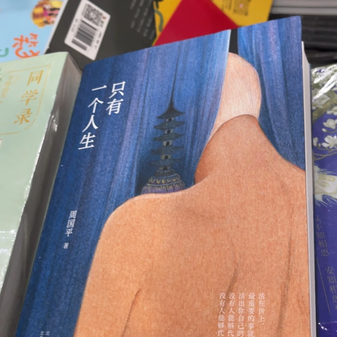 只有一个人生简装一个