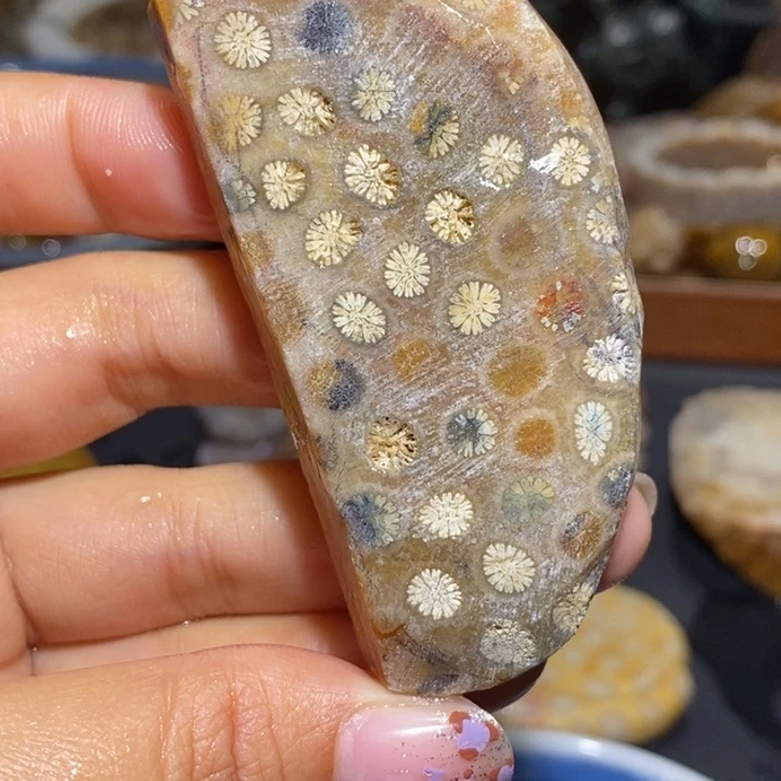 【闪购商品】未镶嵌珊瑚玉硅化玉