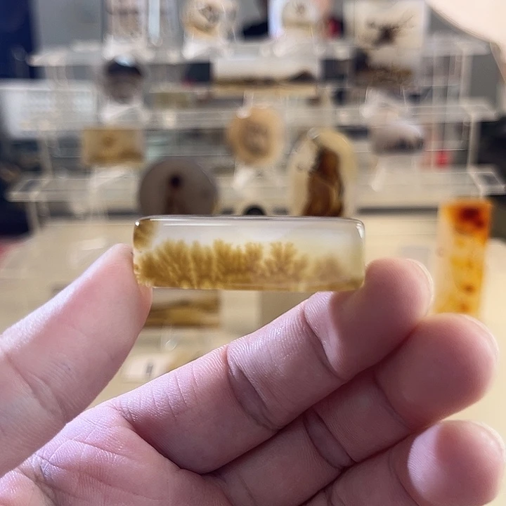 未镶嵌吊坠(不含链)玛瑙/玉髓